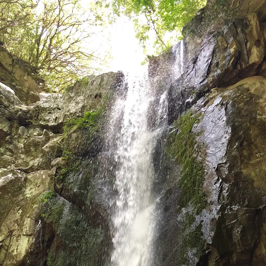 鮎屋の滝の流れる水