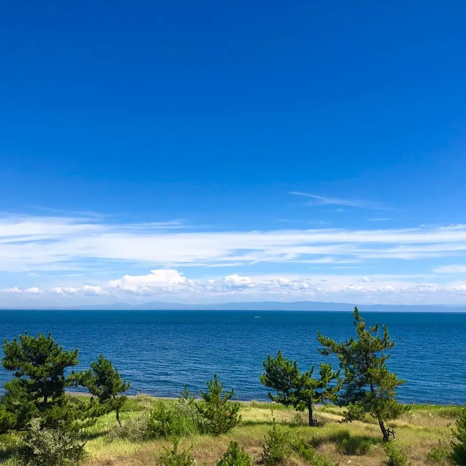 国営明石海峡公園から見える海の景色
