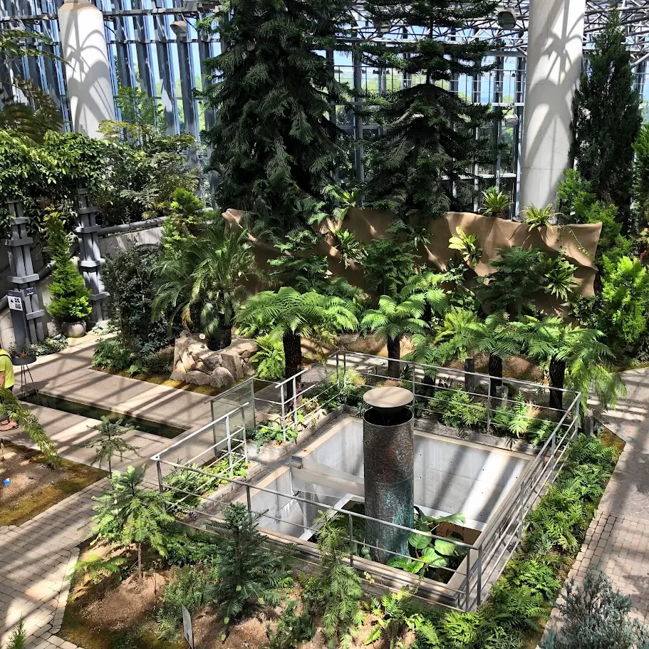 あわじグリーン館で展示されている植物達