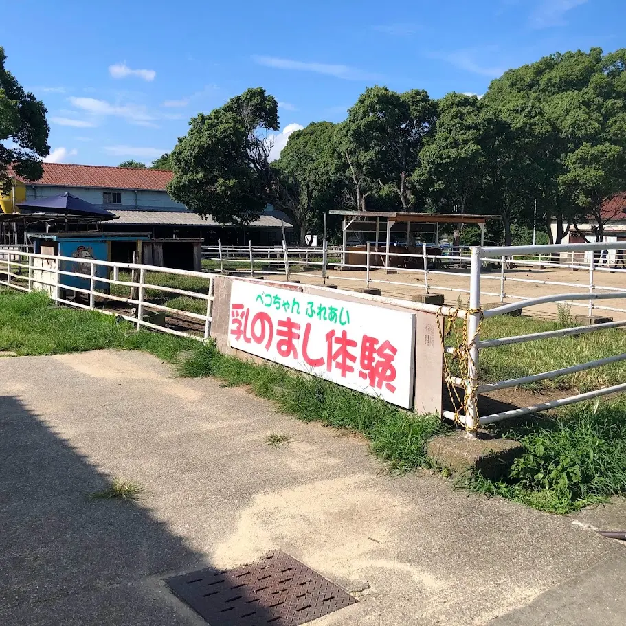 淡路島牧場でできる乳のまし体験
