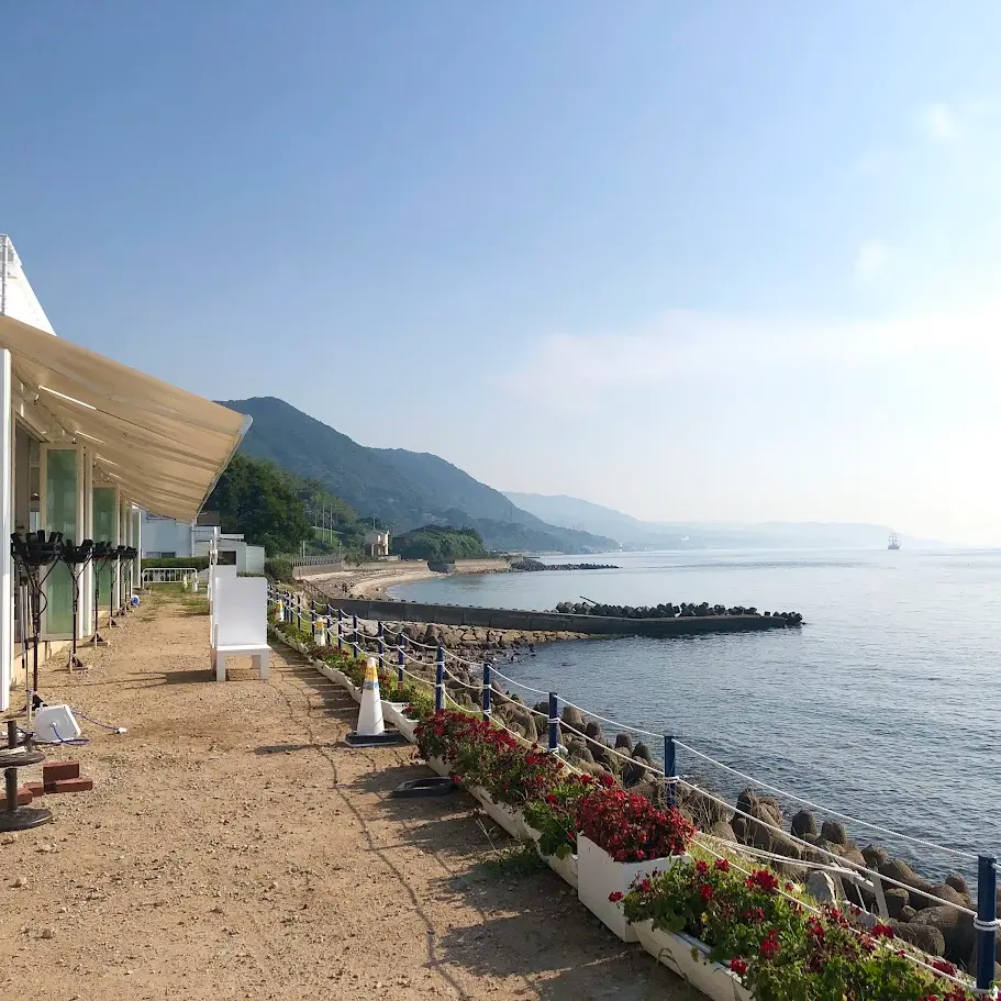 クラフトサーカスから見える海の景色