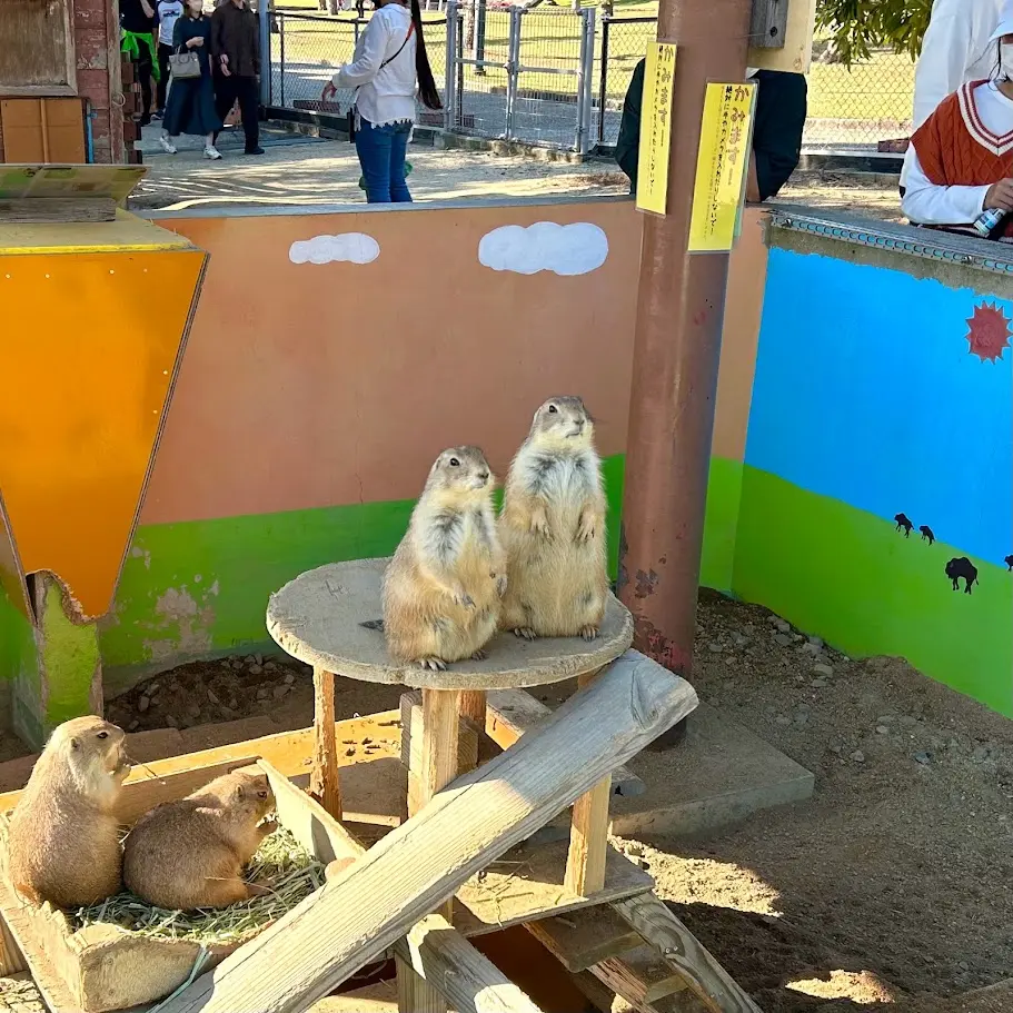 イングランドの丘 動物