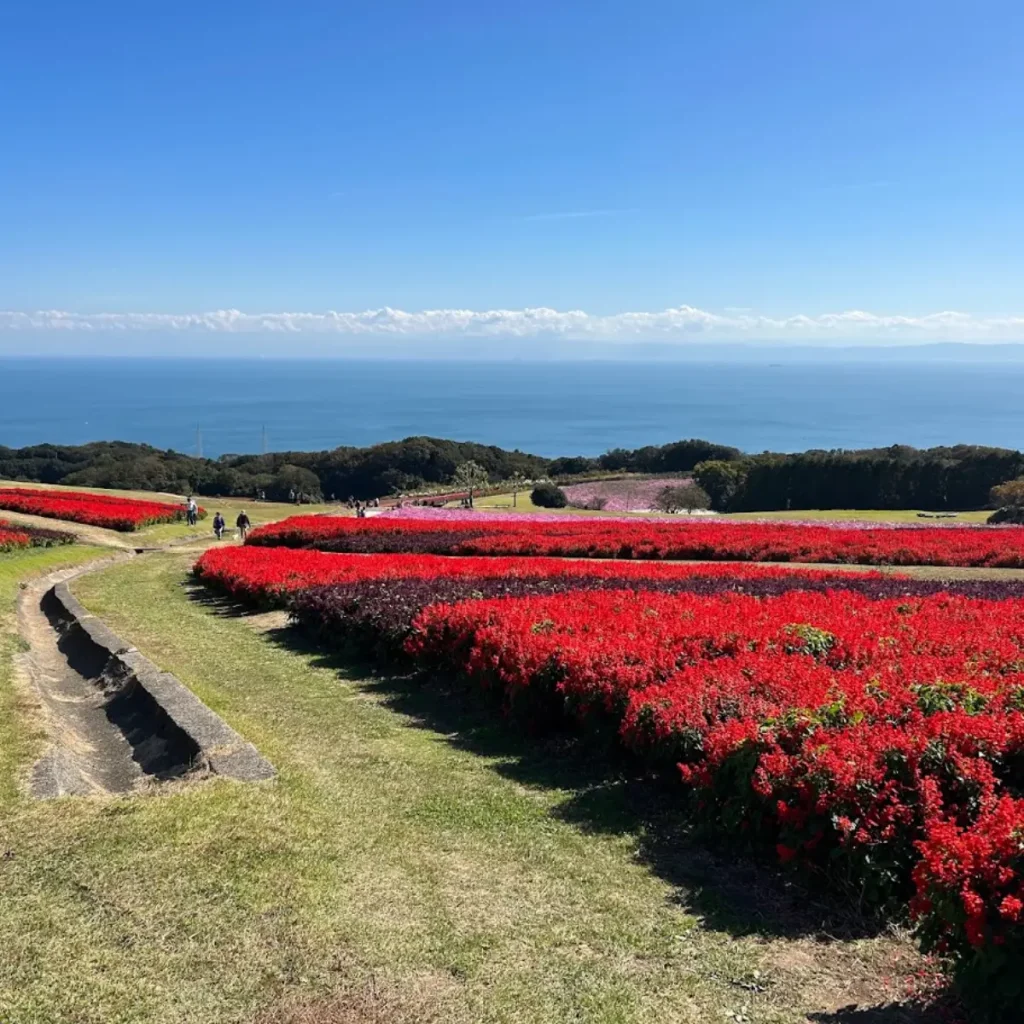 あわじ花さじきから見えるオーシャンビュー