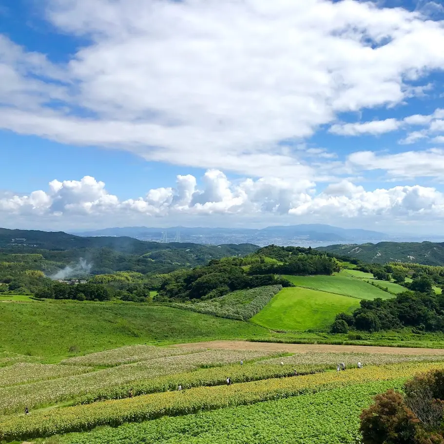 あわじ花さじきから見える絶景