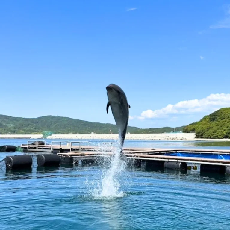 淡路島じゃのひれドルフィンファーム