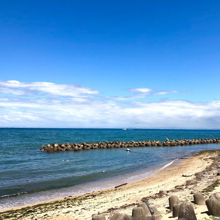 海鮮どんやから見える海の景色