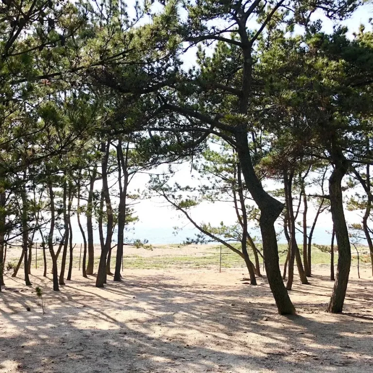 慶野松原海水浴場
