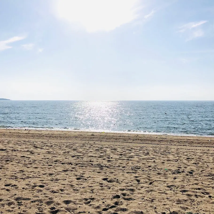 慶野松原海水浴場の砂浜