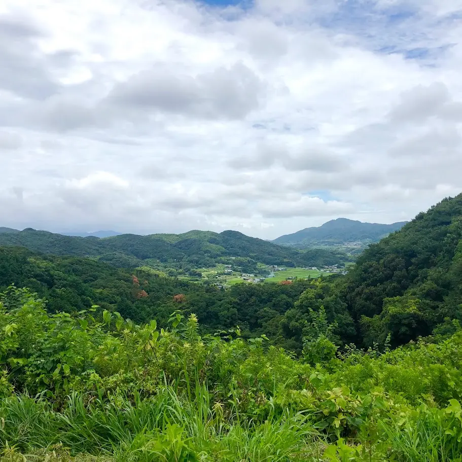 こぞら荘から見える山の景色
