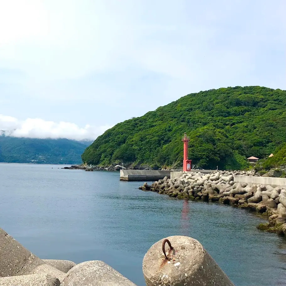 沼島から見える海と山の景色