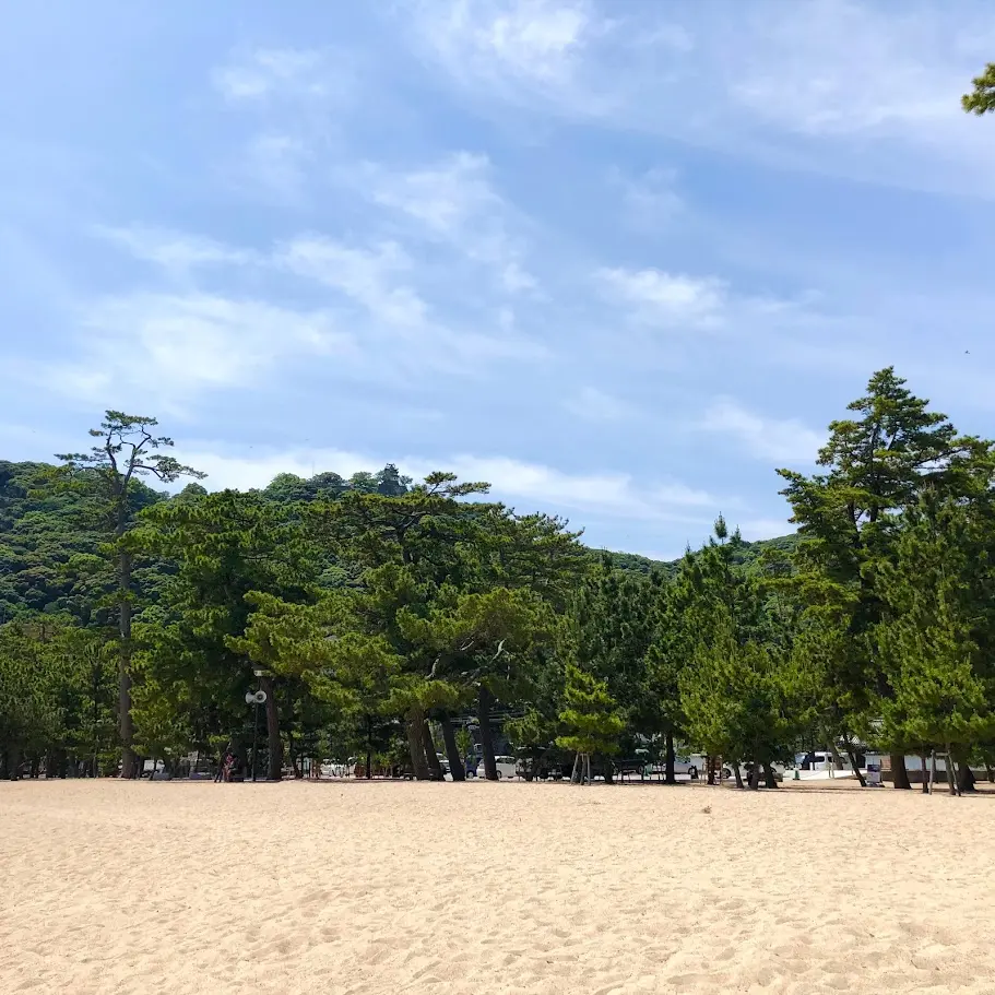 大浜海水浴場の砂浜と松の木