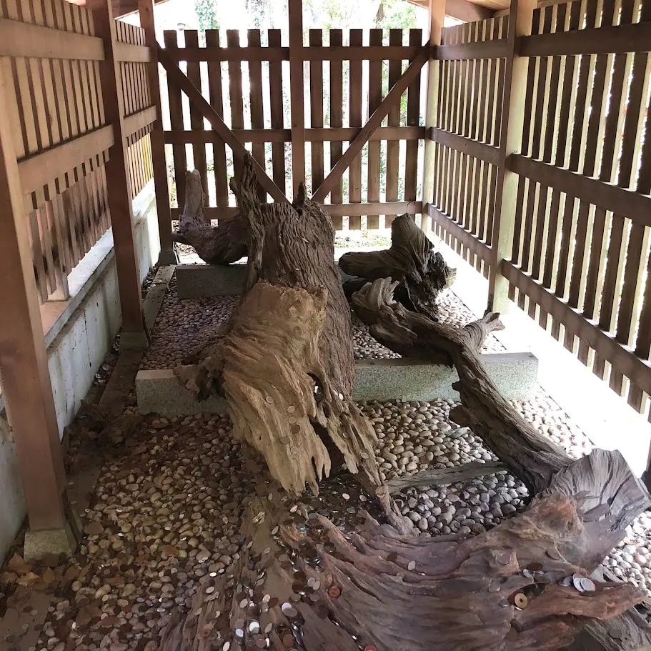 おのころ島神社にあるご神木