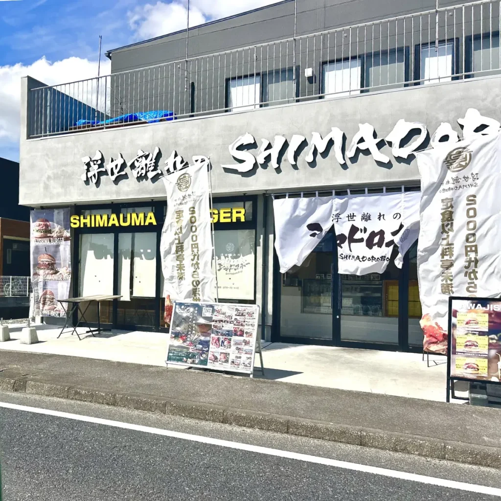 浮世離れのシマドロボー